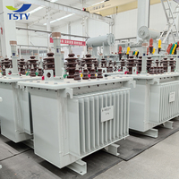 Transformador reductor OEM ampliamente utilizado TSTY 11KV a 400V 1000 Kva precio de los transformadores