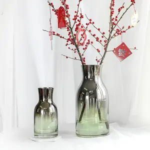 Drop shipping İskandinav cam vazo şeffaf yaratıcı oturma odası çiçek gül zambak ayçiçeği basit tarzı küçük taze cam vazo