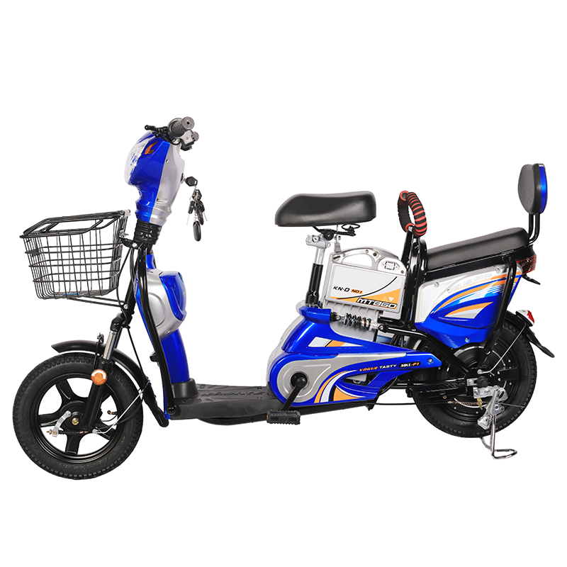 High Quality Multi purpose Electric Bike