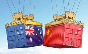 Agent d'expédition le moins cher pour Lautoka, Guam, Niue, Papeete, Saipan, Bell Bay, Santo, Honiara, Vila, Nukualofa, Apia, Lae, Moresby, Suva, Nouméa - Product Image 5