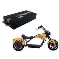 Batería de Litio HAOYANG 60V30Ah con BMS Inteligente OEM, 1000 Ciclos, para Scooter Eléctrico Citycoco Mangosteen M1S, Motocicleta Eléctrica