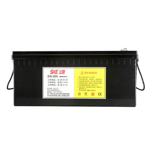 SKE Lithium Iron Phosphate Batteries 12V Energy System BMS 12v 200ah Lifepo4 Battery Pack for Golf Car