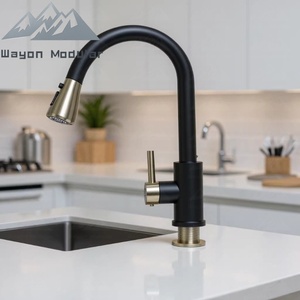 <span class=keywords><strong>Mitigeur</strong></span> moderne en bronze canon à douchette extractible pour éviers de cuisine <span class=keywords><strong>et</strong></span> projets d'éviers de salle de bain - Product Image 1