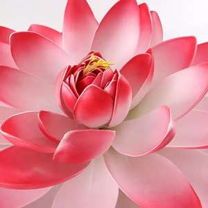 <span class=keywords><strong>D</strong></span>écoration <span class=keywords><strong>de</strong></span> lotus artificielle, lotus flottant <span class=keywords><strong>pour</strong></span> aquarium, étang, aménagement paysager, ornements en plastique, lotus endormi, accessoires <span class=keywords><strong>de</strong></span> Bouddha - Product Image 6