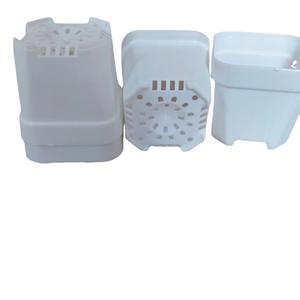 Macetas Cuadradas Blancas <span class=keywords><strong>de</strong></span> Plástico <span class=keywords><strong>de</strong></span> 4 cm <span class=keywords><strong>de</strong></span> Calibre para Plantas Suculentas, Mini Macetas Blancas para Cultivo <span class=keywords><strong>de</strong></span> Bonsáis - Product Image 6