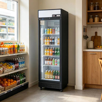 Réfrigérateur Vitrine Vertical à Une Porte pour Boissons, Cola et Vin