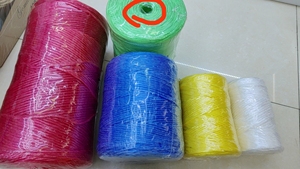 Bon marché <span class=keywords><strong>Prix</strong></span> PP Corde Split Film PE Pp Raphia Presse <span class=keywords><strong>Ficelle</strong></span> pour Foin Herbe Reliure pour Liaison Plantes Emballage Tomates Bananes - Product Image 4