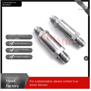 SHJH échange Swagelok 316 filtre droit en acier inoxydable NPT raccords de tuyauterie filetés de mamelon ASME ANSI BS EN DIN API forgé - Product Image 6