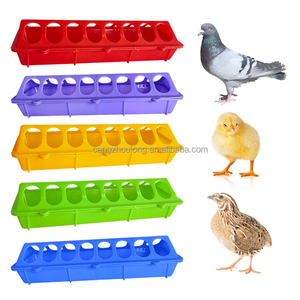 Équipement avicole ZZ, <span class=keywords><strong>mangeoire</strong></span> automatique pour poulets, boîte d'alimentation multi-trous, mangeoires pour pigeons, pour volailles - Product Image 6