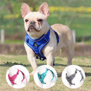 Profession Fabricant Laisse en nylon Ensemble <span class=keywords><strong>de</strong></span> harnais pour animaux <span class=keywords><strong>de</strong></span> compagnie pour <span class=keywords><strong>chien</strong></span> Harnais pour animaux <span class=keywords><strong>de</strong></span> compagnie durables réfléchissants - Product Image 6
