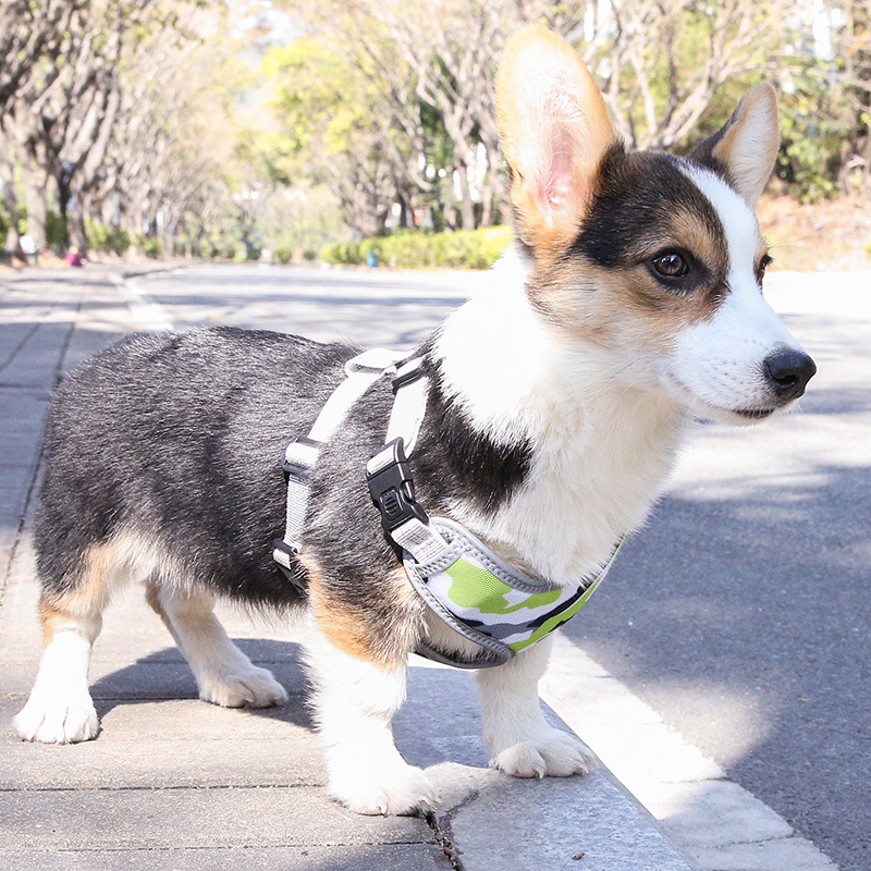 Fashionable Design Camouflage Hot Selling Pet Collar Adjustable With Reflective Stripe Harness Foe Pet Dog