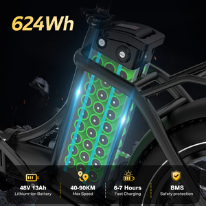 欧盟库存更新版 48V 13Ah 250W 铝合金后轮毂电机 快速交货 20英寸宽胎折叠电动自行车 - Product Image 3