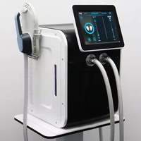 Stimulateur de thérapie électrique portable Neo Em avec appareil de grattage anti-douleur