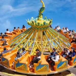 ตัวเลือกชั้นนำจากทั่วโลกสำหรับลูกค้าที่กำลังมองหาการติดตั้งที่มีพลังและให้ผลกระทบสูงด้วยการขับรถดิสโก้เต้นในสวน - Product Image 5