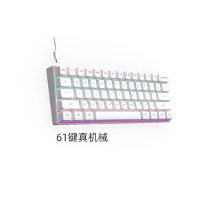 Oem <span class=keywords><strong>ODM</strong></span> New Hot Bán 60% Ergonomic có dây RGB 61 phím chuyển đổi chơi game Bàn Phím Led <span class=keywords><strong>USB</strong></span> Backlit cơ khí hoạt động bán buôn - Product Image 2