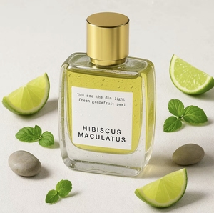 Tous modèles – Entrepôt américain – <span class=keywords><strong>Parfum</strong></span> pour <span class=keywords><strong>homme</strong></span> de qualité supérieure avec reçu – Spray corporel – Fragrance Oud Femme – Eau de <span class=keywords><strong>Parfum</strong></span> Arabe – <span class=keywords><strong>Parfum</strong></span> pour <span class=keywords><strong>homme</strong></span> - Product Image 1