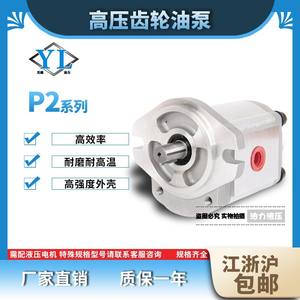 ปั๊มเกียร์ลูกสูบแรงดันสูงรุ่นใหม่ ซีรีส์ P204 206 208 211 214 216 219 222 225 233; ปั๊มน้ำมันไฮดรอลิก - Product Image 2