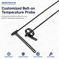 Sensor Suhu PT100 Over-Molded dengan Kabel PFA dan Baja Tahan Karat Kelas A Kelas B untuk Pemanas