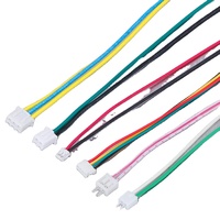 Pemasok OEM disesuaikan TR301 1007 24AWG 20CM KF2510 2 PIN 2.54MM PITCH 2 P konektor kabel Harness kawat
