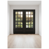 Porte d'entrée double battante en fer forgé avec arche moderne et verre trempé pour villa et maison