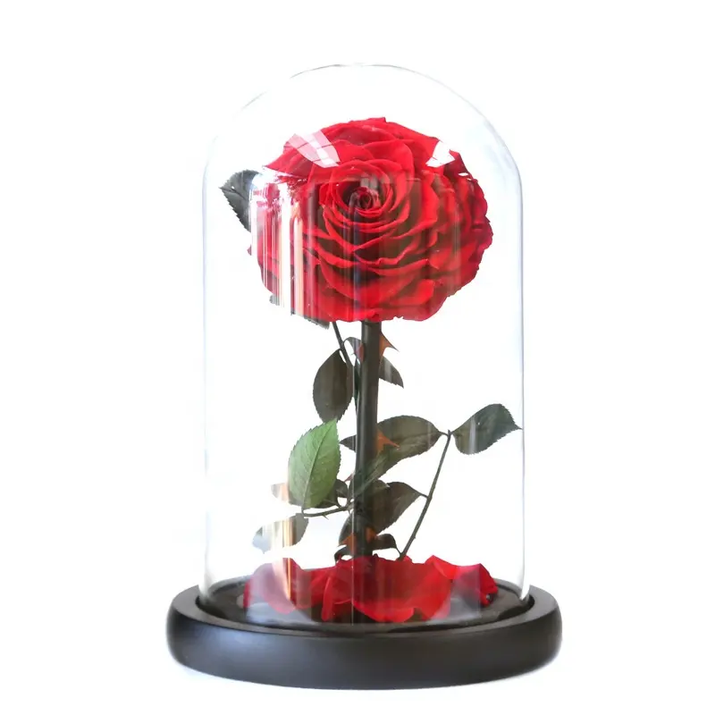 12*20cm Grade A Preserved Decorative Flowers Plants Flask Set Eternal Forever Preserved Rose in Glass Dome for Gift