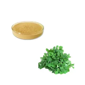 high quality halal common fenugreek extract furanosterol saponin 50% fenusides steam sterilized fenugreek powder