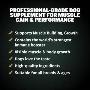 OEM/ODM 11 en 1 Muscle Gain Power Chews Suplemento para perros de alta proteína Aminoácidos Golosinas saludables para cachorros Perros adultos - Product Image 5