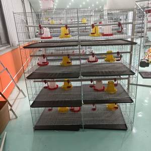 Bebek Brooder kafesleri iyi fiyat tavuk yetiştiriciliği pil H tipi kanatlı 3 Tier 90-320 kuşlar kapasite 30-40kg tavuk kafesi - Product Image 1