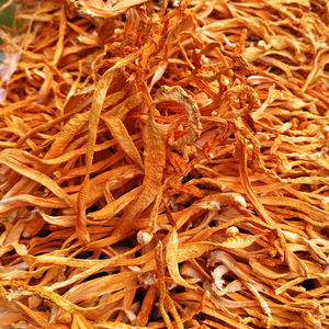 Bunga Cordyceps Emas Grosir, Bunga Cordyceps Militaris Kuning Alami, Cordyceps Kepala Macan, Jamur Cordyceps yang Dapat Dimakan, Jamur Murni - Product Image 2