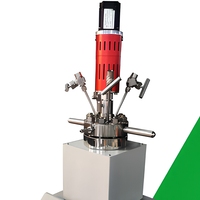 Reactor de Síntesis Hidrotermal Química con LED, Autoclave Industrial de 100ML de Alta Presión con Agitación Automática