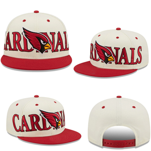 Gorras de Béisbol con Logotipo Personalizado, Bordado 3D, Estilo Snapback, para Adultos, Deportes, Aire Libre, Playa, Pesca, Gorra de Béisbol NFling - Product Image 1