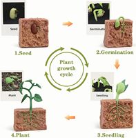 Juguetes Educativos para el Aprendizaje del Ciclo de Vida, Juguetes Montessori, Figuras de Rana, Mariposa, Mariquita, Kit de Plantas, Regalo para Niña y Niño