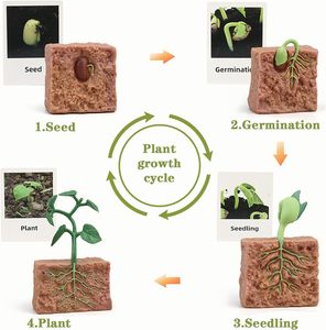 ของเล่นการเรียนรู้และพัฒนาการทางชีวิต, ของเล่นมอนเตสซอรี่ ตุ๊กตาสำหรับกบ, ผีเสื้อ, เต่าทอง, ชุดปลูกต้นไม้, ของขวัญสำหรับเด็กหญิงและเด็กชาย - Product Image 5