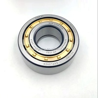 Roulement à rouleaux cylindriques en laiton NUP208 NUP209 NUP304 NUP306 NUP307 NUP309 NUP310 NUP311 NUP315 EM ECM