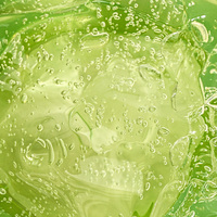 Gel d'Aloe Vera Biologique Pur Hydratant pour la Peau du Visage Apaisant Crème Éclaircissante Gel d'Aloe Vera Marque privée personnalisée