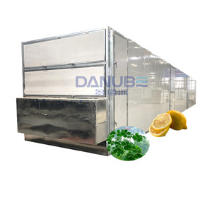 Séchoir à bande continue pour feuilles de Laurier et citrons – Fabricants de machines de séchage - Product Image 1
