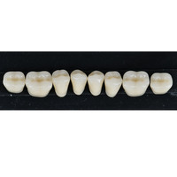 Dentier dentaire en résine acrylique avec plusieurs nuances A1 A2 A3 A-D ombre pontique fausses dents dents en résine