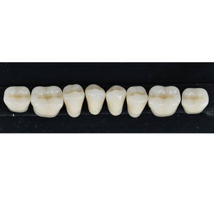 Dentier dentaire en résine acrylique avec plusieurs nuances A1 A2 A3 A-D ombre pontique fausses dents dents en résine - Product Image 5