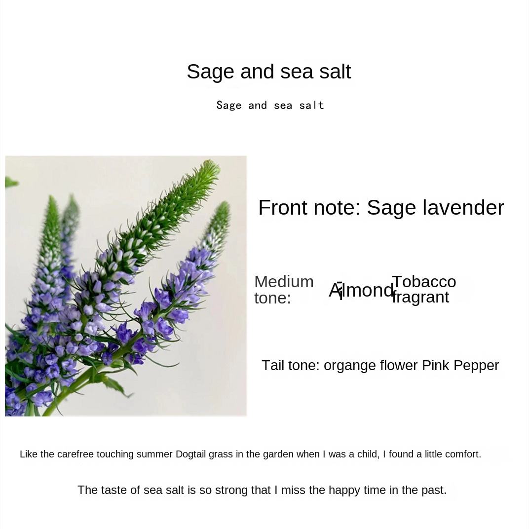 Salvia Officinalis et sel de mer (parfum léger)
