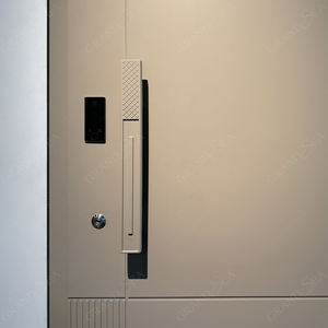 スチールドア住宅マレーシアスタイル高級デザイン低価格シングル外装セキュリティ - Product Image 6