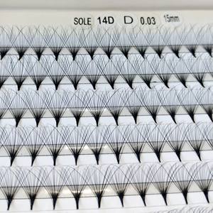 CAMELLIA 14D Tray XL Cils OEM Irritation utilisant pour le pack de beauté dans le plateau ou la boîte Fabriqué au Viet Nam Fabricant - Product Image 6