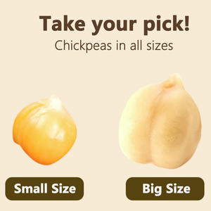 Nuevos <span class=keywords><strong>garbanzos</strong></span> orgánicos saludables al vapor, comida de cocción instantánea, embalaje a granel, <span class=keywords><strong>garbanzos</strong></span> Kabuli al vapor <span class=keywords><strong>para</strong></span> aperitivos - Product Image 5