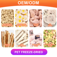 Friandises lyophilisées mixtes pour animaux de compagnie, très vendues, avec fruits, viande et légumes – Complément nutritionnel et récompense d'entraînement pour chiens et chats