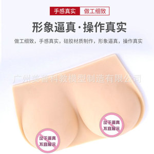 Formation des conseillères en lactation : seins artificiels médicaux en silicone souple, écoles professionnelles de services domestiques, hôpitaux - Product Image 4