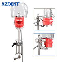 Simulador de modelo de cabeza Simple Dental de alta calidad, modelo de dientes para práctica, educación de dentista, enseñanza de estudio