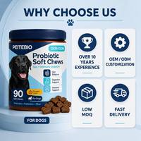 Vente en gros de comprimés à mâcher probiotiques pour chiens, soutien digestif, santé intestinale, complément alimentaire pour chiots, adultes, seniors, toutes races, OEM ODM