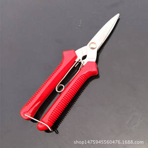 กรรไกรตัดแต่งกิ่งไม้พุ่มวิสทีเรีย 55 มม. สแตนเลสสตีล หัวตรง ดีไซน์แบบผีเสื้อ สำหรับตัดแต่งต้นไม้ผลไม้ในสวน - Product Image 4