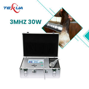 Ultrasonido Fisioterapia Physique Ultrawave Machine de Thérapie Professionnelle Soulagement de la Douleur pour le Traitement Canin Équin AC 110-220V - Product Image 6