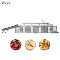 Séchoir à air chaud Commercial industriel pour fruits légumes viande poisson herbe épice noix graine avec haute capacité économie d'énergie