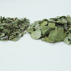 1 kg de feuilles d'<span class=keywords><strong>eucalyptus</strong></span> séchées biodégradables, 100 % naturelles, en vrac, feuilles d'<span class=keywords><strong>eucalyptus</strong></span> vertes rondes, pétales, confettis - Product Image 3